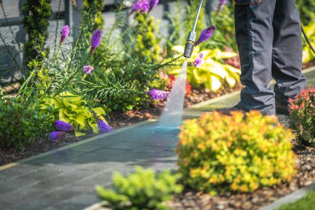 Best Animal Enclosure Cleaning  in Forsyth, MT