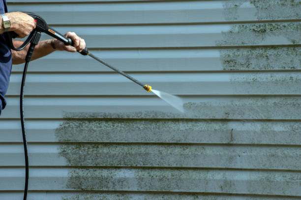 Best Building Exterior Washing  in Forsyth, MT